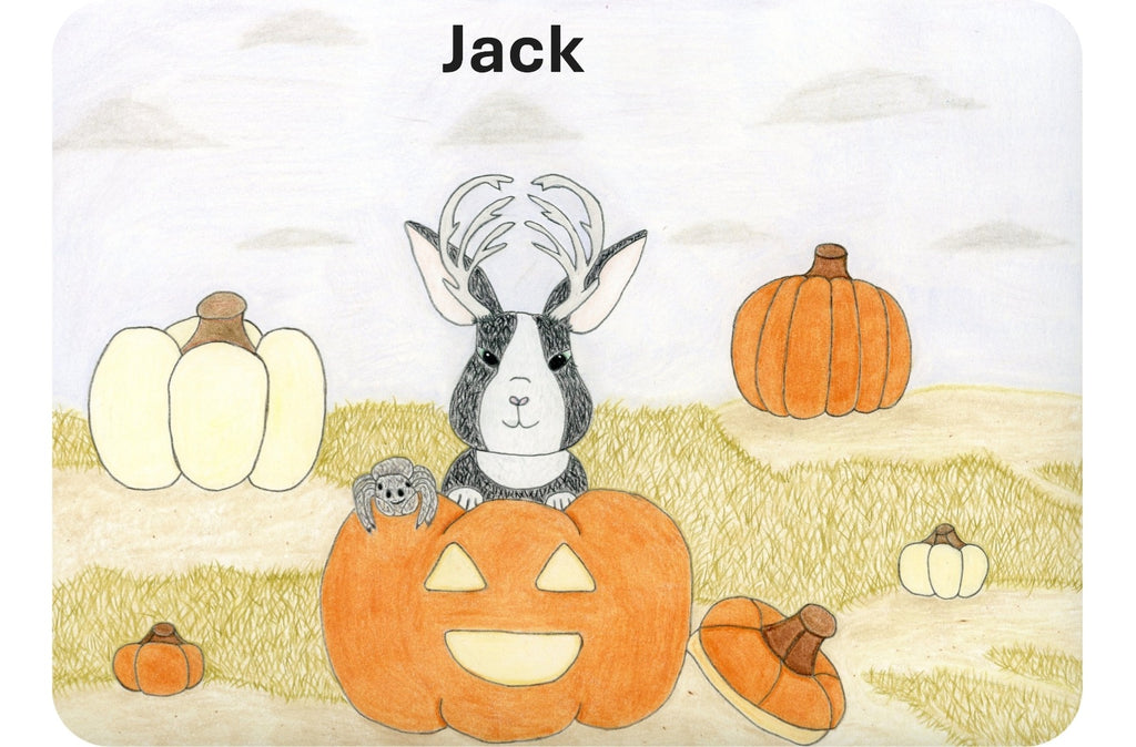 Hand-drawn cartoon Jackalop in a jack-o-lantern, with a jumping spider friend in a pumpkin patch.