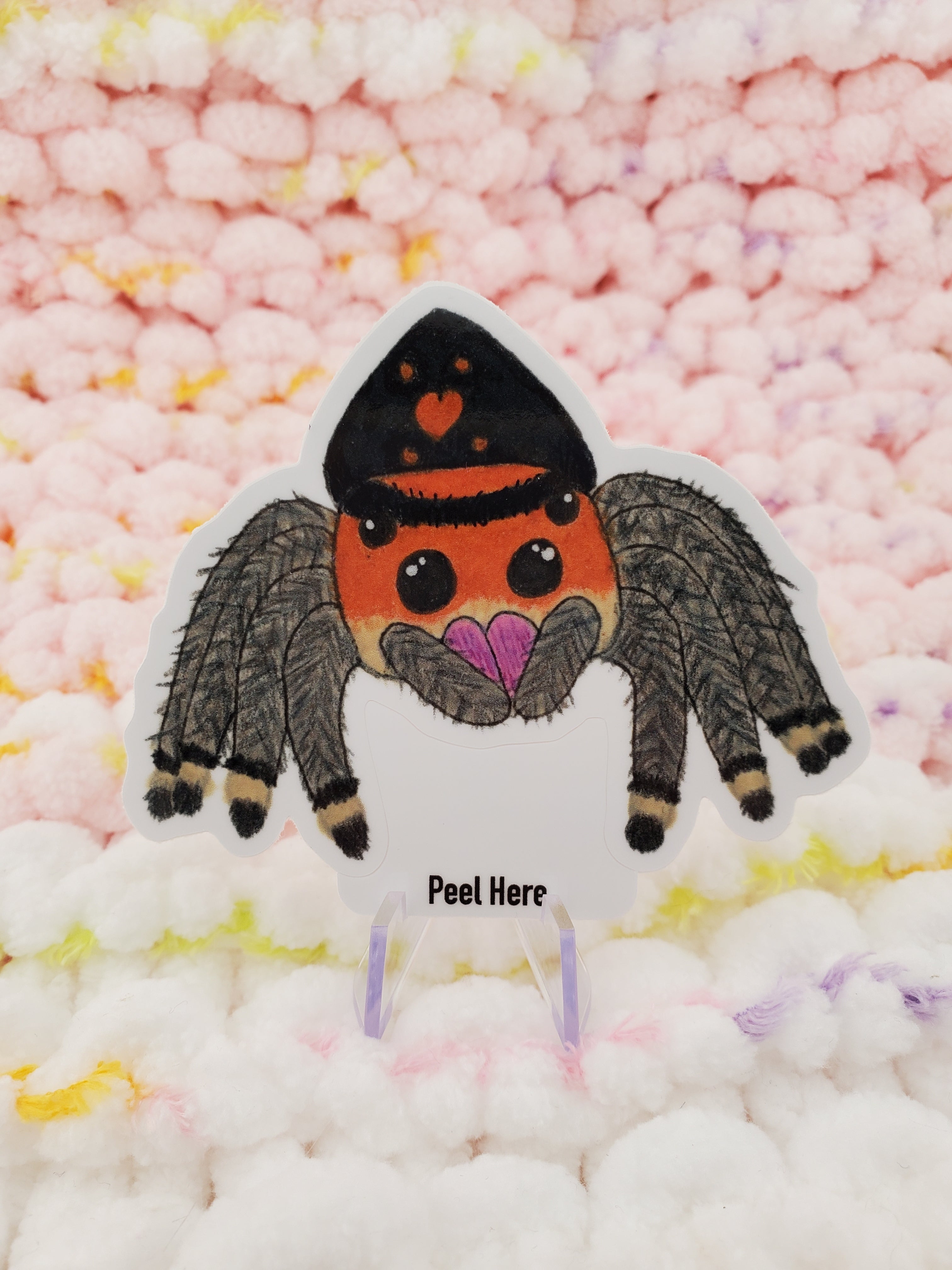 3-inch vinyl sticker of an orange and black regal jumping spider. 